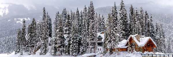 Most, Park Narodowy Yoho, Kanada, Ośnieżone, Dom, Góry, Drzewa, Zima