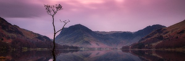 Lake District, Drzewo, Góry, Anglia, Suche, Jezioro Buttermere