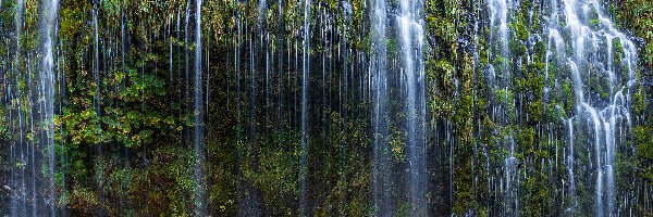 Wodospad, Rośliny, Mossbrae Falls, Stany Zjednoczone, Kalifornia
