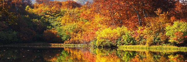 Kolorowe, Mount Chokai, Góra, Zenjin pond, Yurihonjo, Akita, Wulkan, Odbicie, Staw, Japonia, Drzewa, Jesień