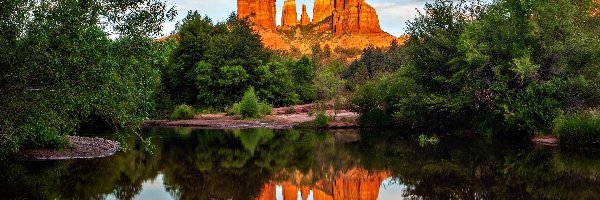 Drzewa, Oak Creek, Odbicie, Skały, Cathedral Rock, Stany Zjednoczone, Arizona, Rzeka, Sedona