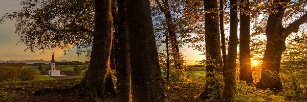 Promienie słońca, Drzewa, Kościół, Las, Jesień, Liście, Góry