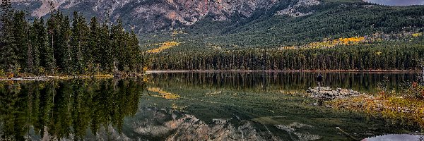 Jezioro, Pyramid Peak, Park Narodowy Jasper, Alberta, Kanada, Odbicie, Drzewa, Góry, Pyramid Lake