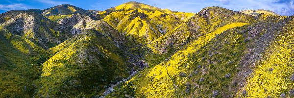 Góry, Carrizo Plain National Monument, Rezerwat przyrody, Stany Zjednoczone, Kalifornia