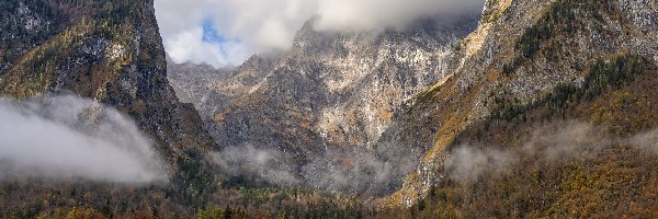 Jezioro Konigssee, Mgła, Drzewa, Niemcy, Alpy, Góry