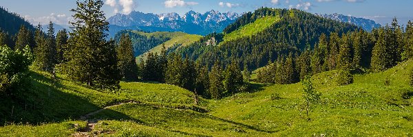 Niemcy, Alpy Chiemgawskie, Skały, Kaiser, Góry, Wzgórza, Drzewa