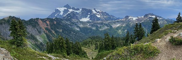Drzewa, Góry Mount Shuksan, Las, Park Narodowy Północnych Gór Kaskadowych, Stan Waszyngton, Stany Zjednoczone