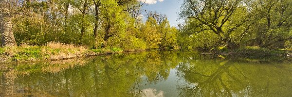 Kamienie, Wiosna, Drzewa, Rzeka