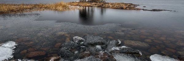 Karelia, Drzewa, Chmury, Rosja, Wysepka, Jezioro Ładoga