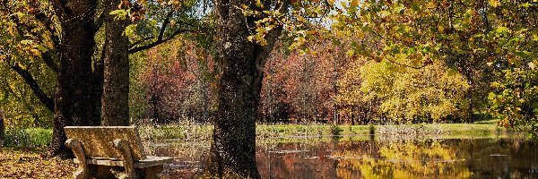 Jesień, Ławka, Drzewa, Park, Staw