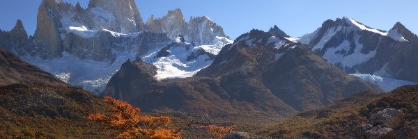 Skały, Góry, Argentyna, Patagonia, Andy, Kamienie, Drzewo, Jesień