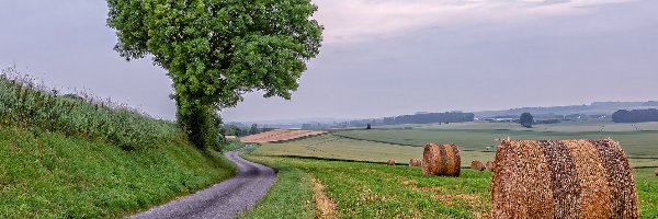 Słomy, Pola, Bele, Lato, Drzewo, Droga