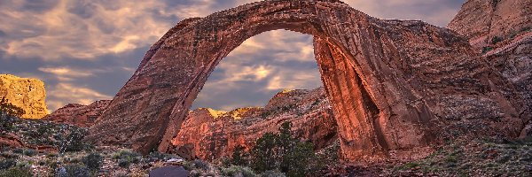 Stany Zjednoczone, Kamienie, Rośliny, Łuk skalny, Skały, Utah, Rainbow Bridge