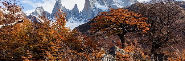 Drzewa, Góry, Jesień, Skały, Patagonia, Argentyna