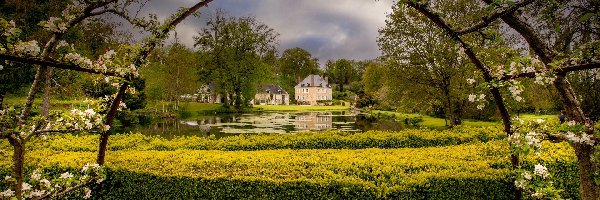 Domy, Pergola, Kwitnące, Ogród, Ławka, Staw, Drzewa