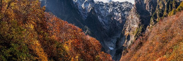 Góry, Krzewy, Pożółkłe, Las, Jesień, Wąwóz, Chmury, Drzewa, Skały