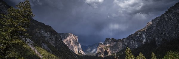 Góry, Las, Park Narodowy Yosemite, Kalifornia, Stany Zjednoczone, Chmury, Niebo, Drzewa, Pochmurne