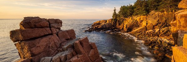 Stany Zjednoczone, Drzewa, Sosny, Skały, Morze, Maine, Park Narodowy Acadia