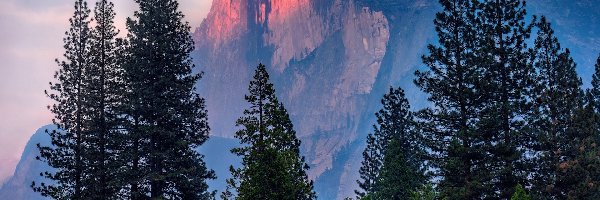 Half Dome, Park Narodowy Yosemite, Góra, Drzewa, Kalifornia, Stany Zjednoczone