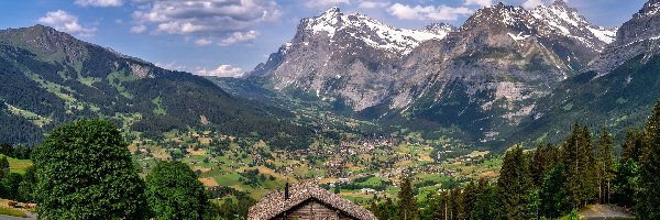 Szwajcaria, Alpy, Dom, Góry, Lato, Grindelwald, Dolina