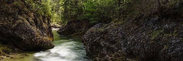 Las, Skały, Rzeka, Drzewa, Zielone