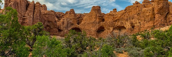 Utah, Krzewy, Park Narodowy Arches, Stany Zjednoczone, Skały, Góry