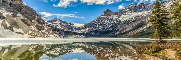 Kanada, Bow Lake, Drzewa, Jezioro, Góry, Park Narodowy Banff, Odbicie