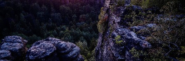 Góry, Drzewa, Skały, Punkt widokowy, Rośliny