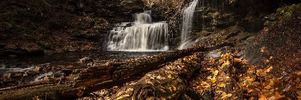 Żółte, R B Ricketts Falls, Skały, Las, Jesień, Stany Zjednoczone, Stan Pensylwania, Wodospad, Liście