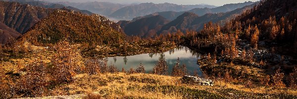 Góry, Szwajcaria, Jezioro, Lago Salei, Chmury, Jesień, Drzewa, Rośliny, Las, Kanton Tessin, Skały