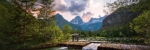 Hinterstoder, Drzewa, Jezioro Schiederweiher, Austria, Alpy, Góry