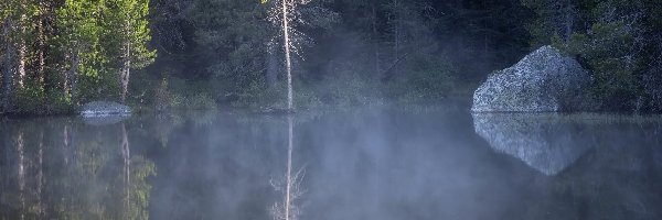 Stan Wyoming, String Lake, Park Narodowy Grand Teton, Stany Zjednoczone, Jezioro, Drzewa