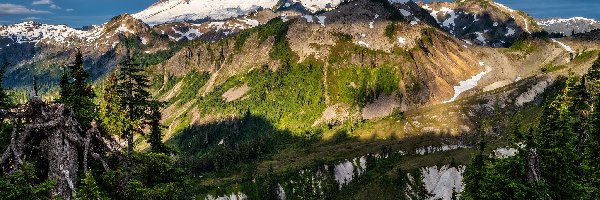 Stan Waszyngton, Mount Baker, Drzewa, Stany Zjednoczone, Szczyt, Góry Kaskadowe