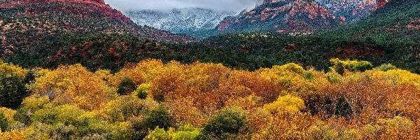 Jesień, Drzewa, Góry, Stany Zjednoczone, Stan Wisconsin