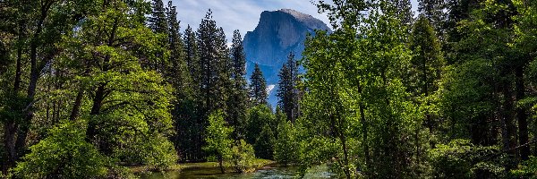 Merced River, Szczyt Half Dome, Stany Zjednoczone, Kalifornia, Rzeka, Drzewa, Park Narodowy Yosemite, Góry