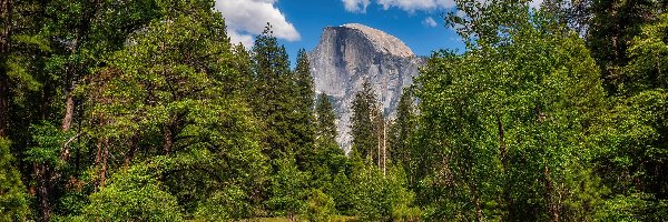 Merced River, Szczyt Half Dome, Stany Zjednoczone, Kalifornia, Rzeka, Drzewa, Park Narodowy Yosemite, Góry