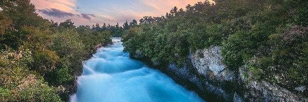 Drzewa, Rzeka, Skały, Nowa Zelandia, Waikato River