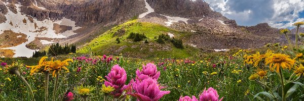 Góry, Łąka, San Juan Mountains, Stany Zjednoczone, Kolorado