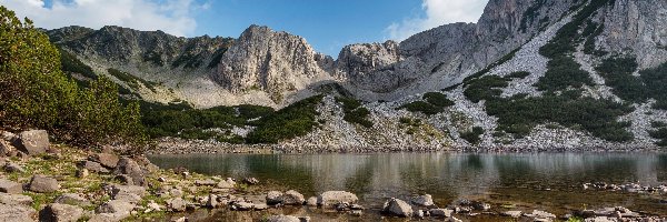 Jezioro, Kamienie, Odbicie, Drzewa, Góry