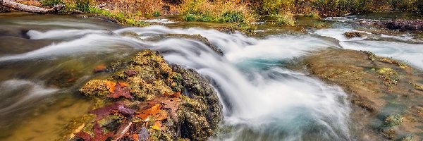 Fossil Creek, Drzewa, Stany Zjednoczone, Arizona, Potok, Kamienie, Liście, Las