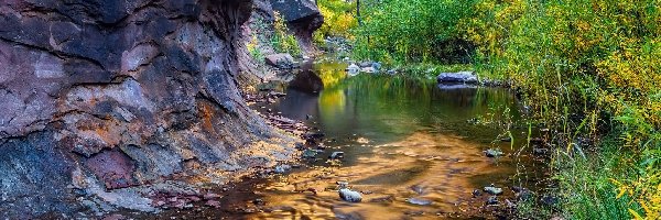 Stany Zjednoczone, Sedona, Skały, Rzeka, Arizona, Las, Drzewa, West Fork Oak Creek