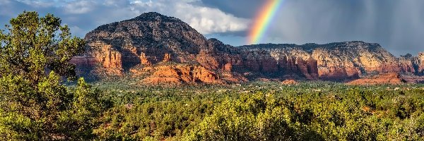 Góry, Drzewa, Stany Zjednoczone, Arizona, Chmury, Wilson, Sedona, Tęcza