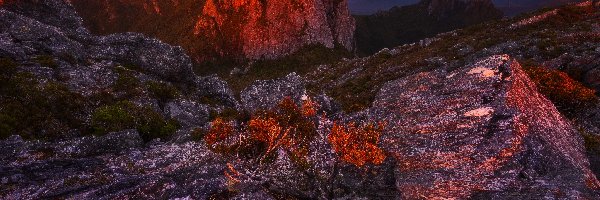 Góry, Skały, Australia, Tasmania, Szczyty, Krzewy, Arthur Range, Wschód słońca