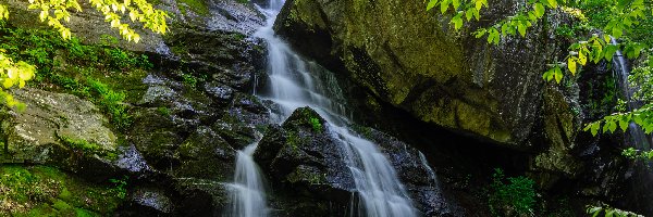 Stany Zjednoczone, Skały, Drzewa, Apple Orchard Falls, Wodospad, Wirginia, Roślinność