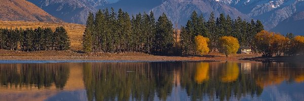 Lake Camp, Góry, Nowa Zelandia, Dom, Jezioro, Drzewa, Odbicie, Jesień