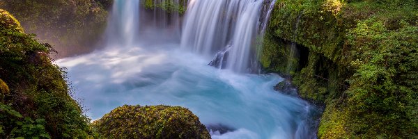 Omszałe, Stan Waszyngton, Skały, Spirit Falls, Rzeka, Little White Salmon River, Wodospad, Stany Zjednoczone, Drzewa, Kamienie