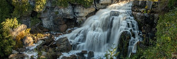 Kanada, Rzeka, Sydenham River, Wodospad, Skały, Ontario, Krzewy