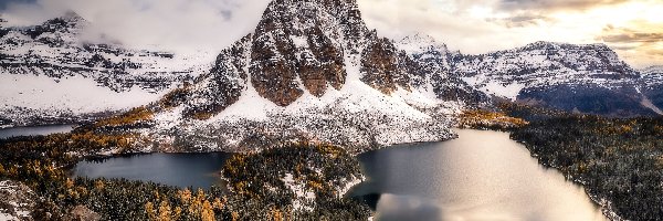 Drzewa, Ośnieżone, Kanada, Sunburst Lake, Góra Mount Assiniboine, Jeziora, Cerulean Lake, Park Prowincjonalny Mount Assiniboine, Góry, Kolumbia Brytyjska