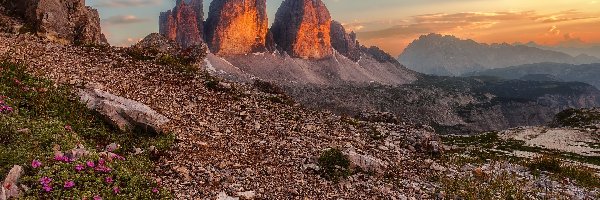 Tre Cime di Lavaredo, Dolomity, Skały, Rozświetlone, Zachód słońca, Włochy, Kwiaty, Góry, Kamienie