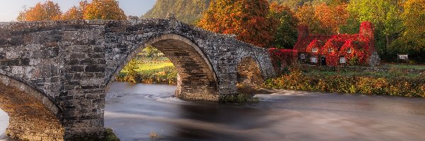 Jesień, Most, Walia, Dom, Conwy River, Las, Drzewa, Kamienny, Rzeka, Llanrwst